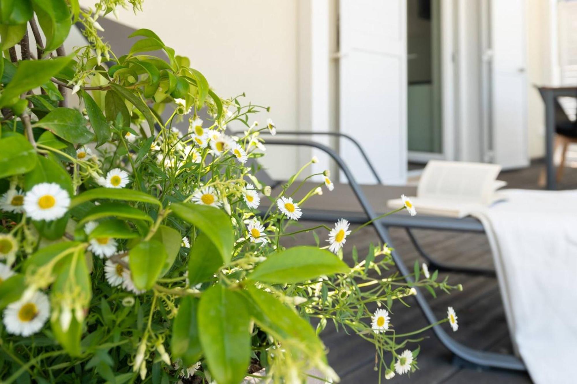 Ostriche - Yourplace Abruzzo Torino di Sangro Εξωτερικό φωτογραφία